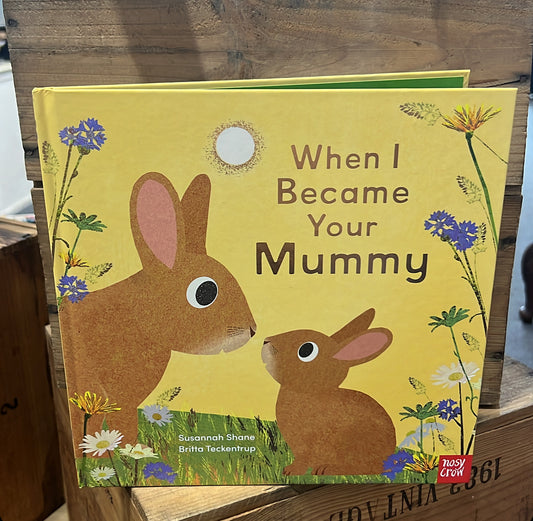 When I Became a Mummy Book